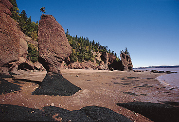 Rocks at Hopewell Cape, New Brunswick