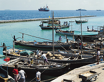 Fishing in the Maldives