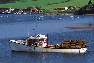 Lobster fisherman in Nova Scotia