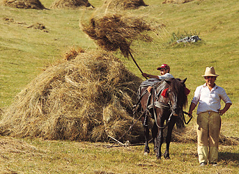 Farmland in Moldova