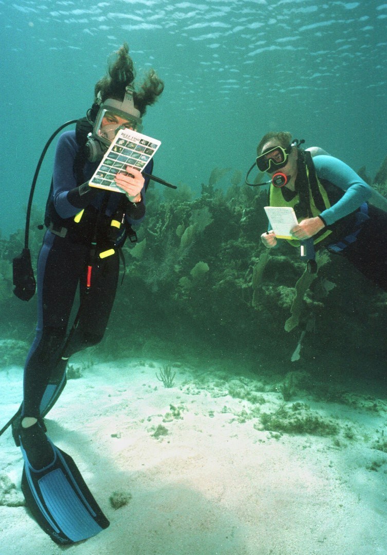 Sylvia Earle