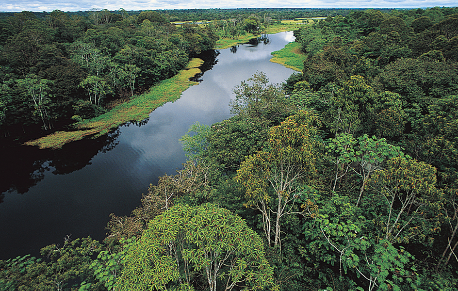 Amazon River