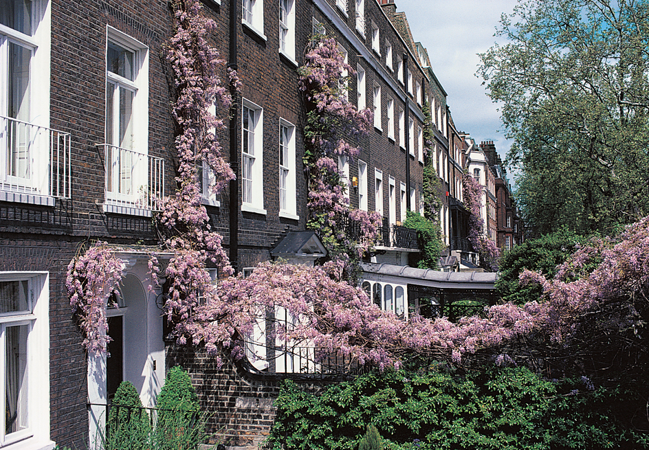 Attractive town houses