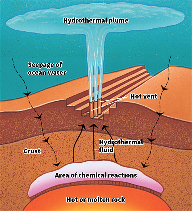 Hydrothermal vent formation