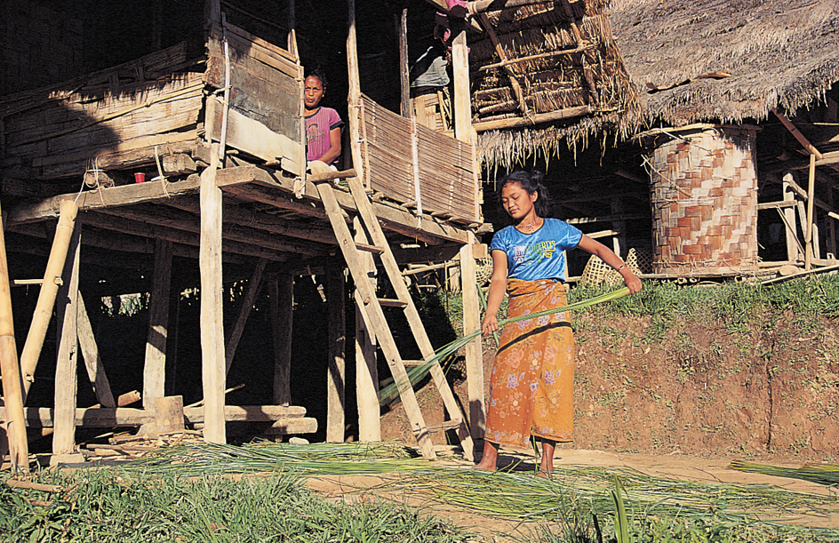 Traditional Indonesian houses