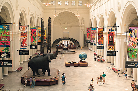 Field Museum