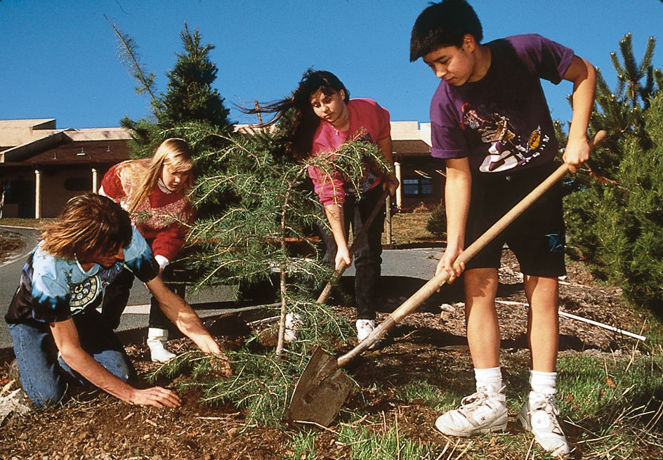 Students plant Christmas trees