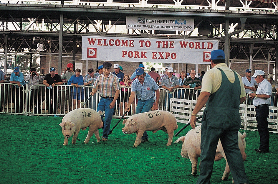 Farmers exhibit livestock at Iowa Fair