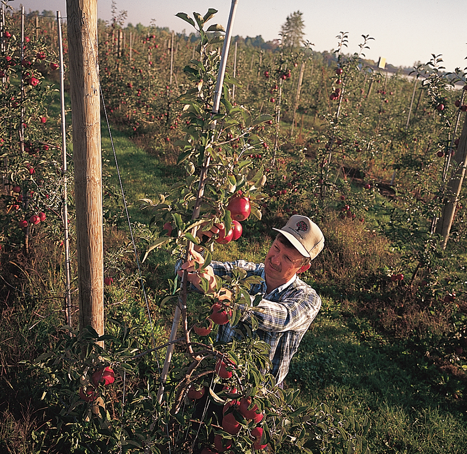 Agriculture in the United States