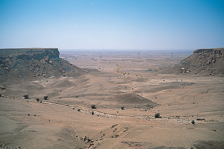 Eastern Lowlands of Saudi Arabia