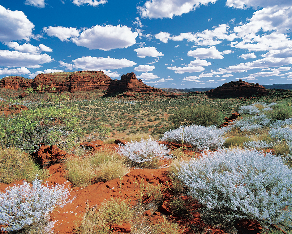 Northern Territory interior