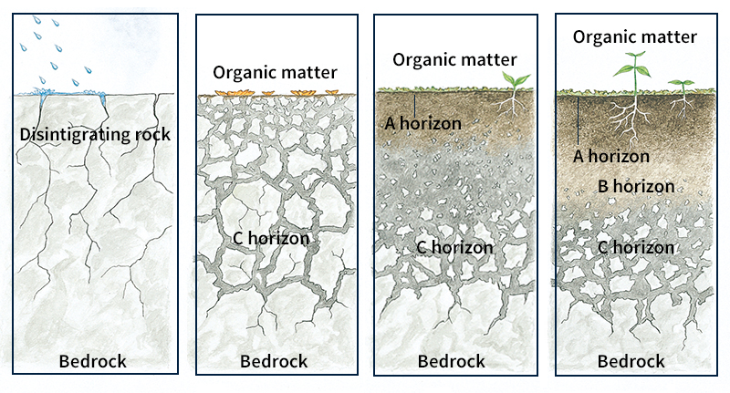 How soil forms