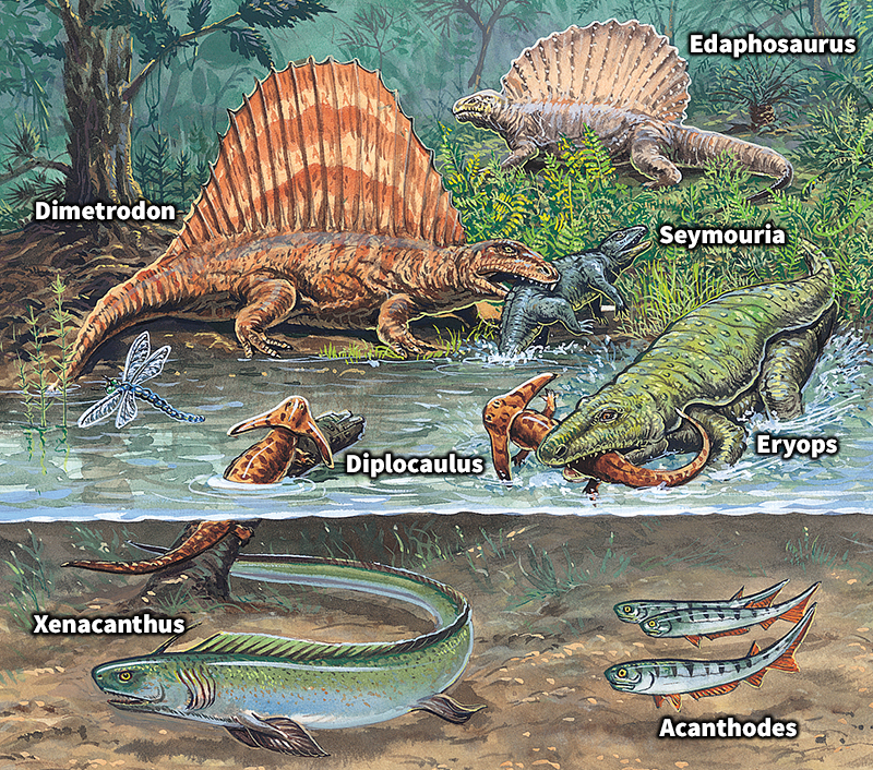 Animals of the Paleozoic Era