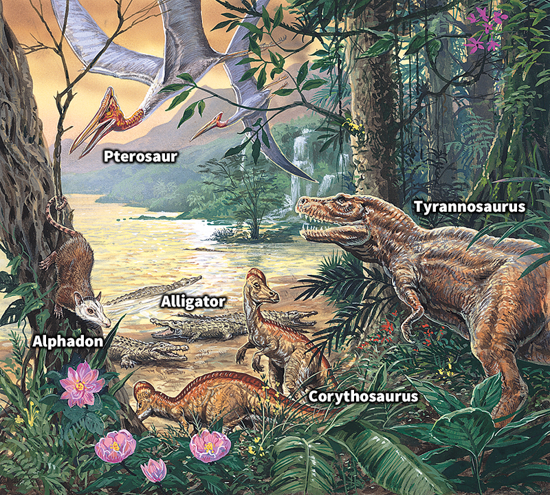 Animals of the Mesozoic Era