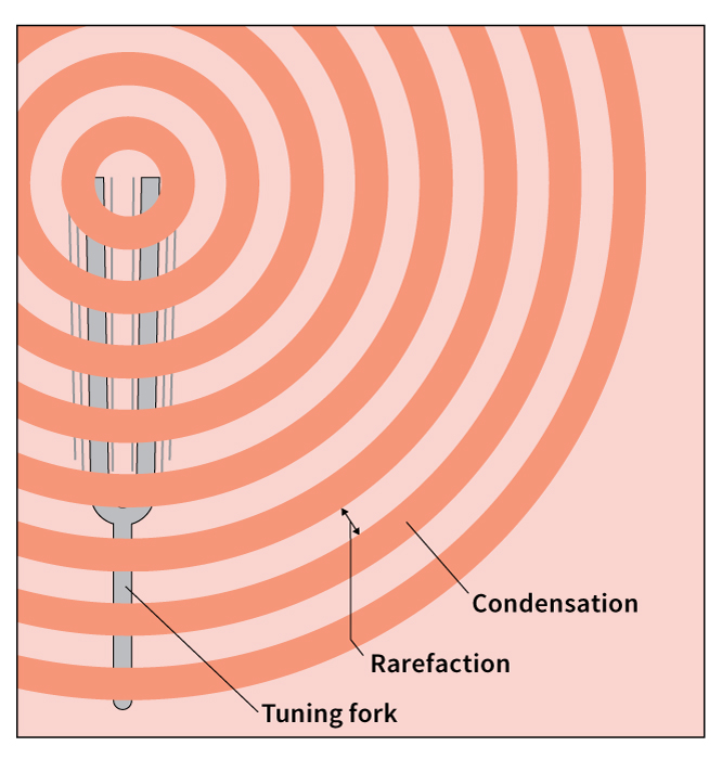 Sound waves form