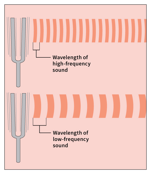 Frequency of sound waves