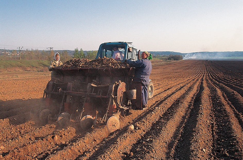 Rich farmland in Russia