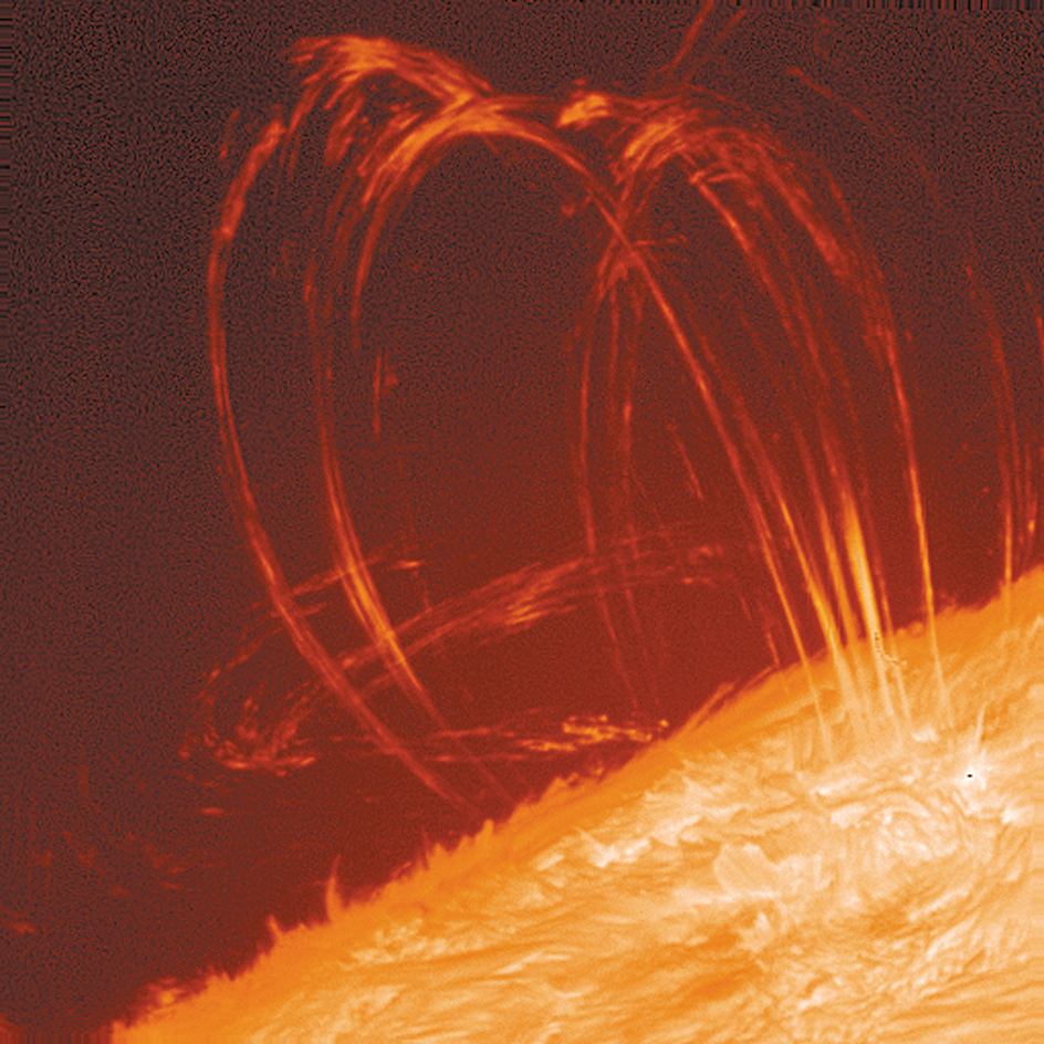 Coronal loops