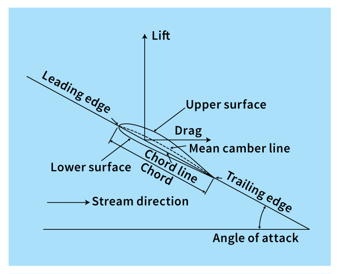 Factors that create lift