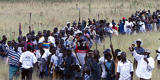 Squatters on white-owned land in Zimbabwe