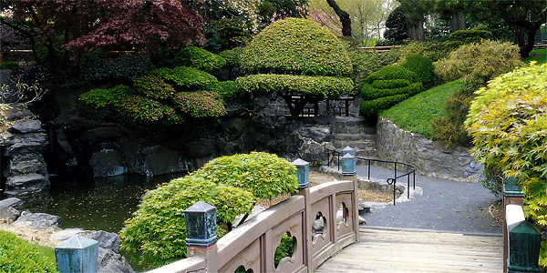 Japanese garden in Brooklyn