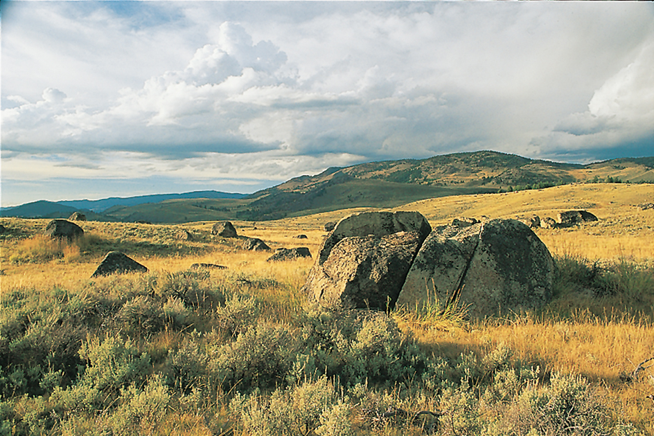 Cenozoic glaciers moved huge rocks