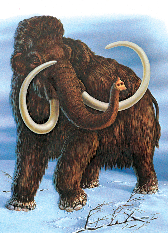 Mammoth