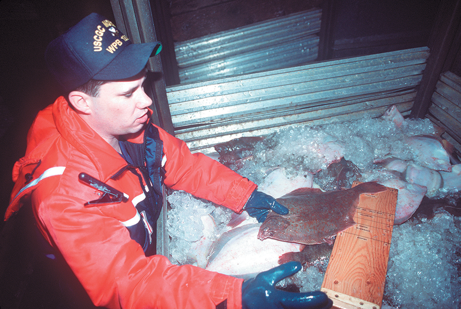 Coastguardsman inspecting fish catch