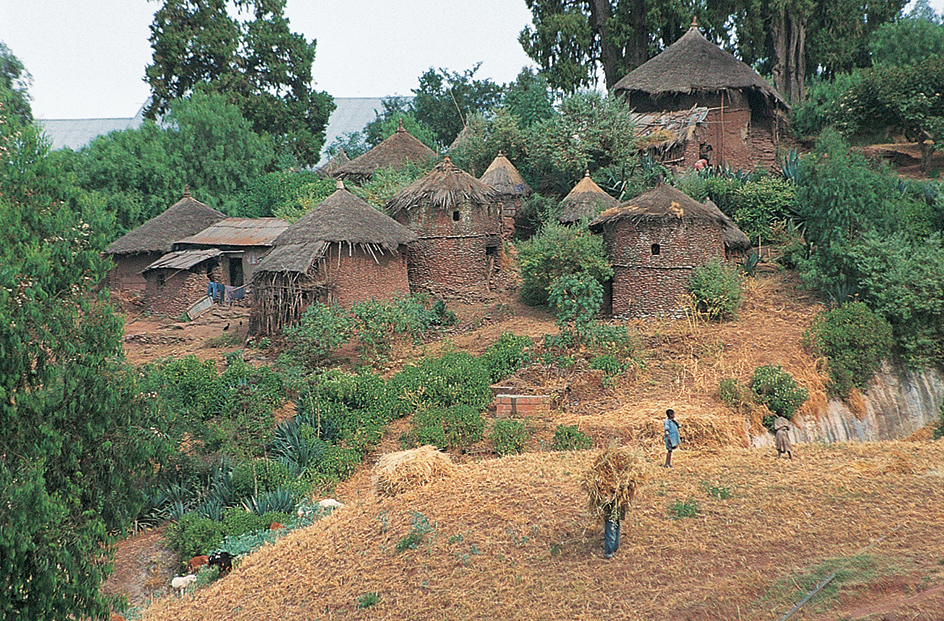 Rural Ethiopian village