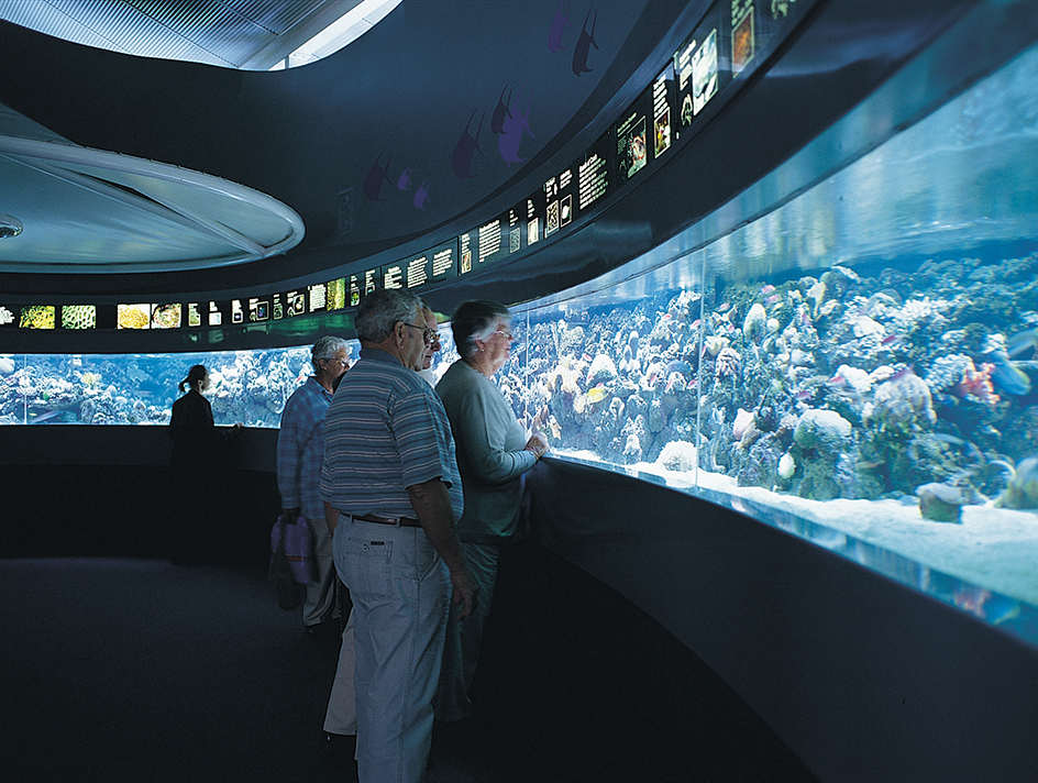 Public aquarium