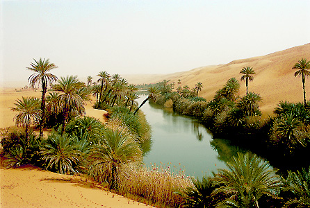 Desert oasis in Libya