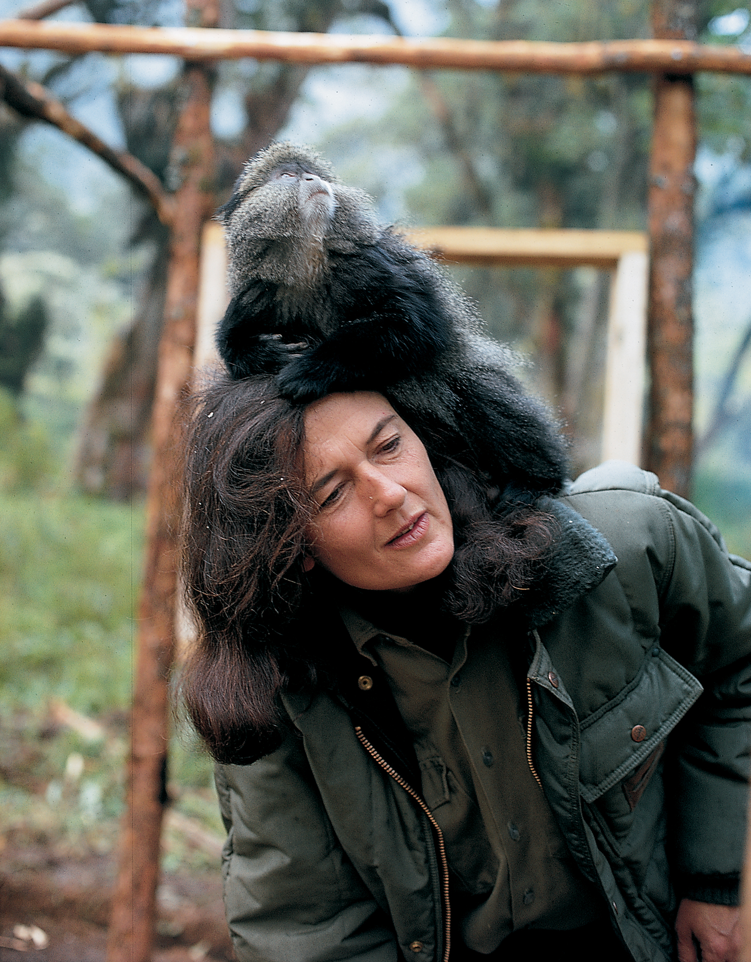 Dian Fossey