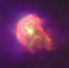 Young star in the Orion Nebula