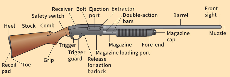 Parts of a pump action shotgun