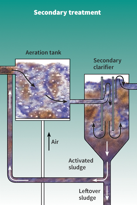 Modern sewage treatment plant: secondary treatment