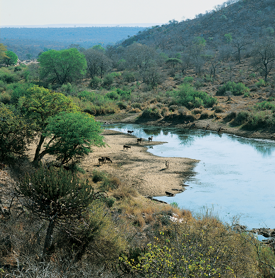 Kruger National Park