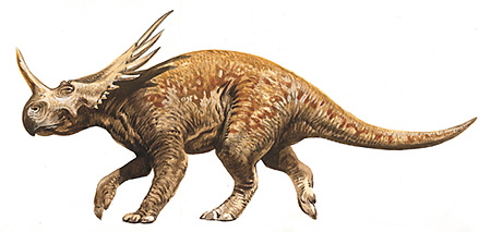 Styracosaurus