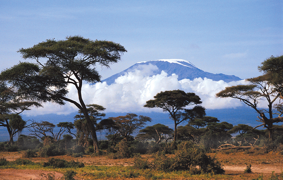 Kilimanjaro