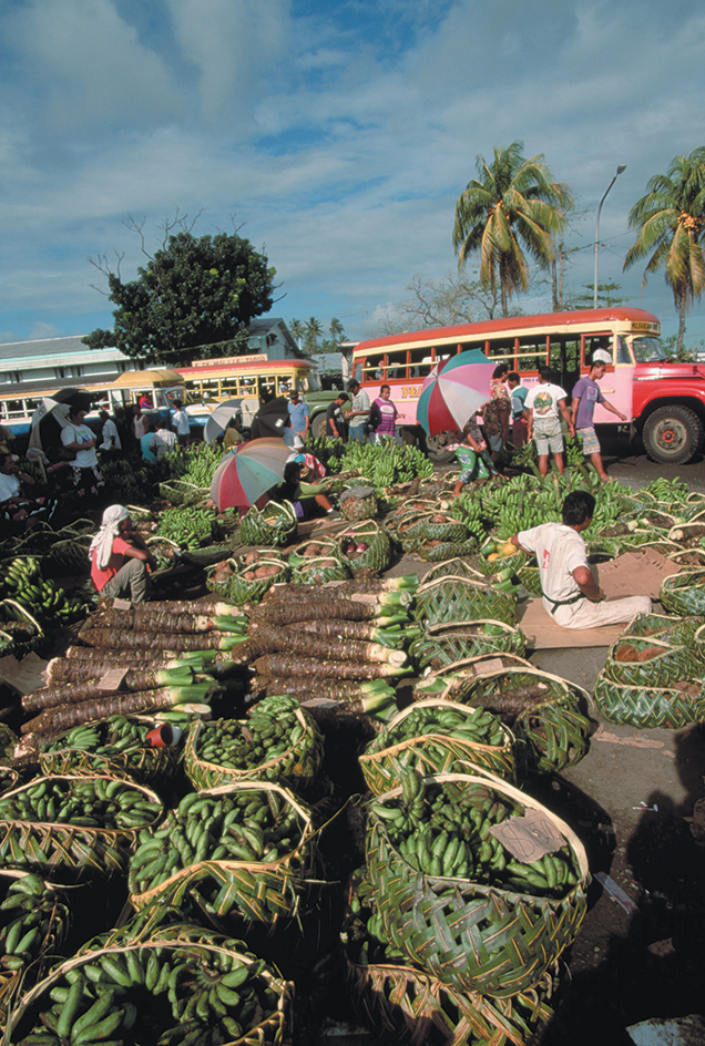 Outdoor market in Apia, Samoa