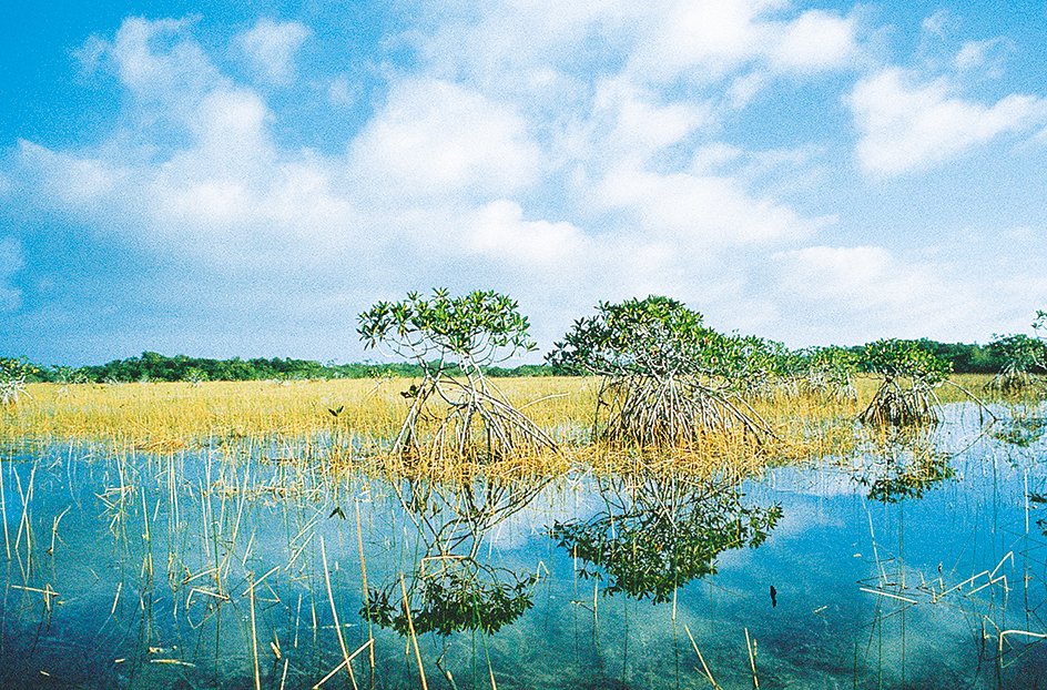 Everglades National Park