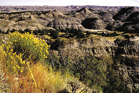 Theodore Roosevelt National Park