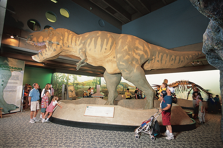 Lifesize model of Tyrannosaurus rex