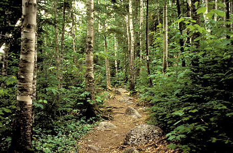 Appalachian National Scenic Trail