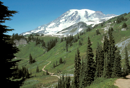 Mount Rainier National Park