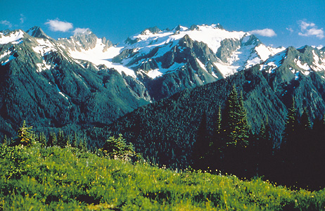 Olympic National Park