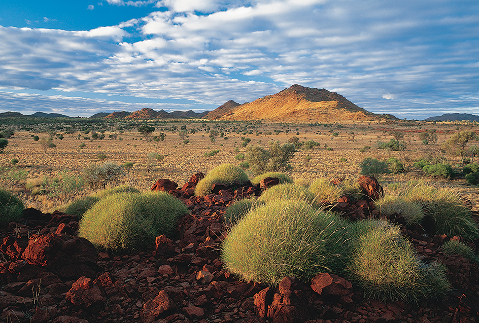 Australian outback