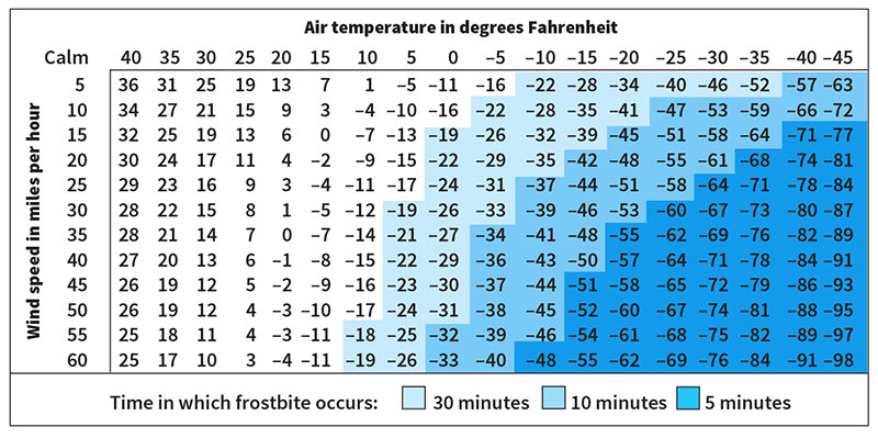 Wind chill equivalent temperatures