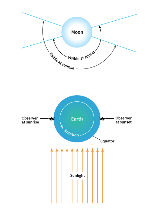 Diurnal libration