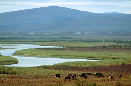 Kobuk Valley National Park