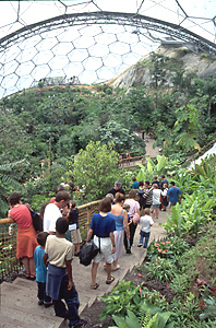 Indoor rain forest exhibit